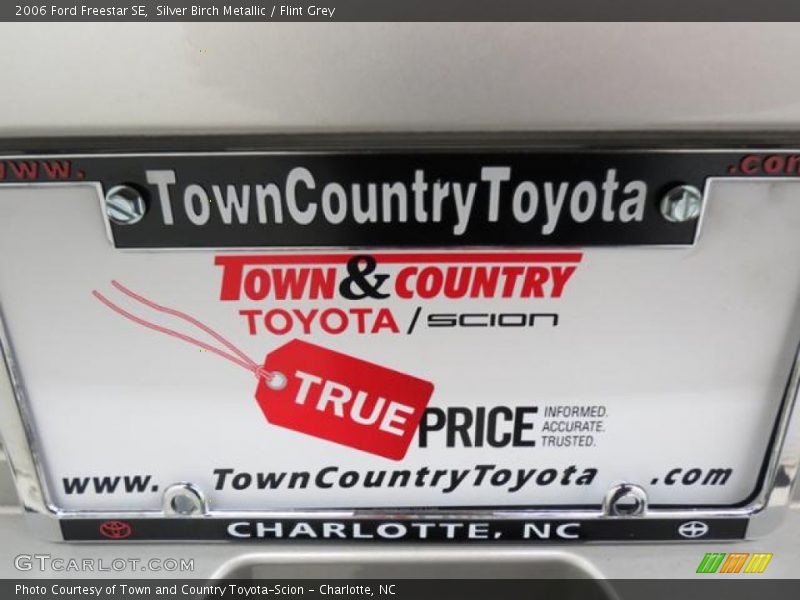 Silver Birch Metallic / Flint Grey 2006 Ford Freestar SE