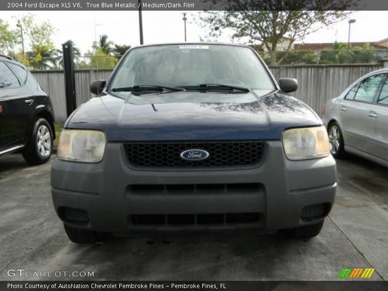 True Blue Metallic / Medium/Dark Flint 2004 Ford Escape XLS V6