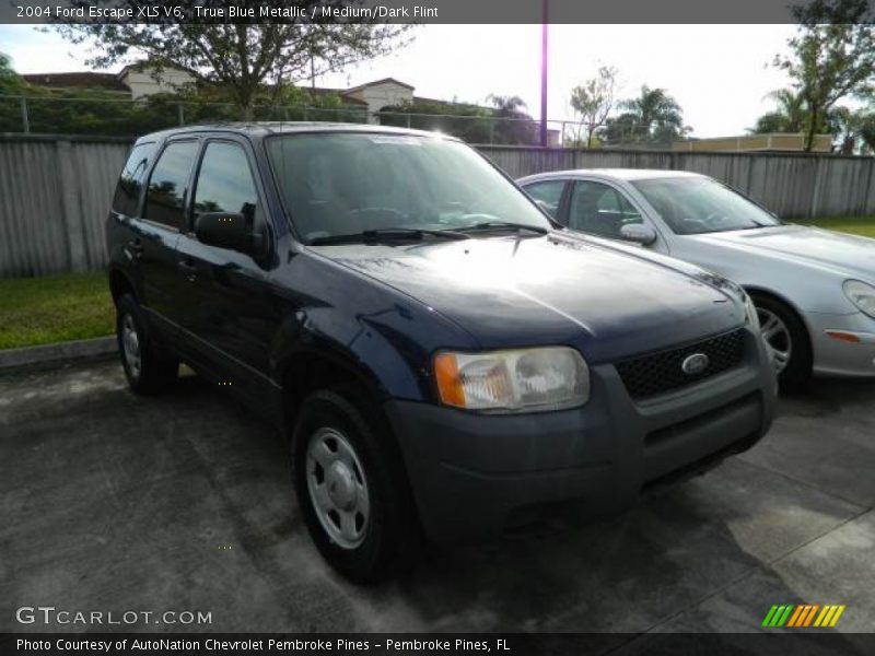 True Blue Metallic / Medium/Dark Flint 2004 Ford Escape XLS V6