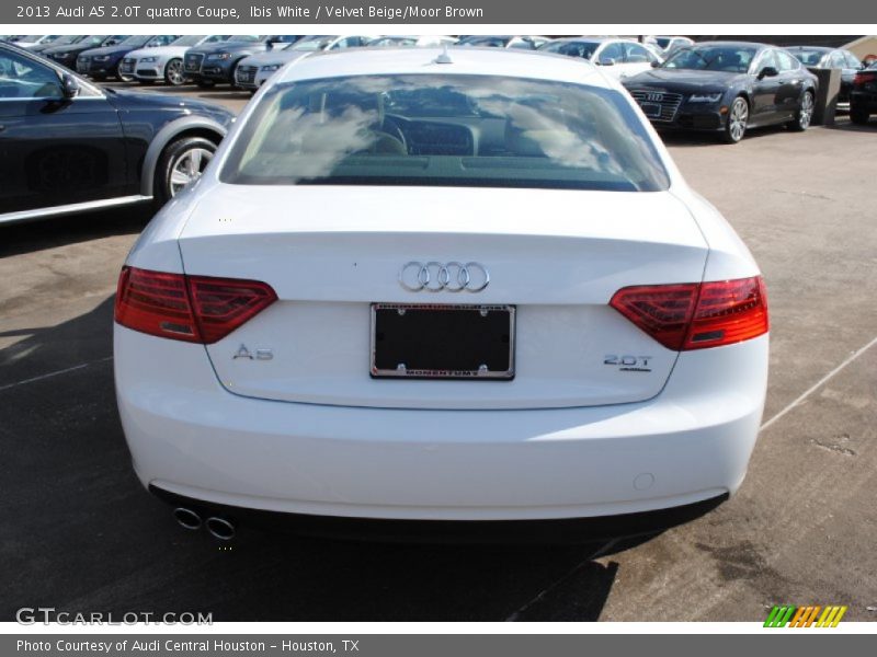 Ibis White / Velvet Beige/Moor Brown 2013 Audi A5 2.0T quattro Coupe