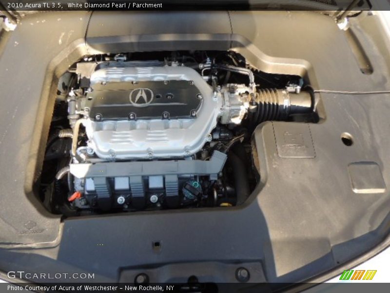 White Diamond Pearl / Parchment 2010 Acura TL 3.5