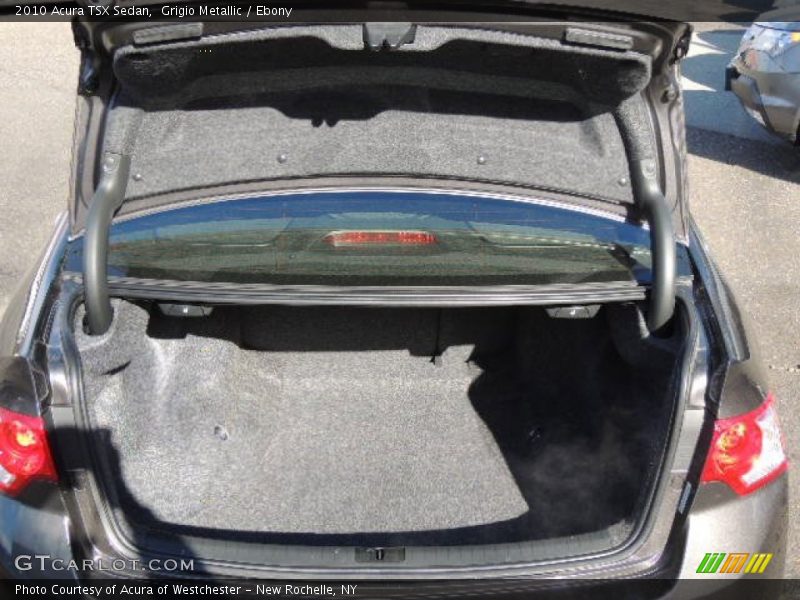 Grigio Metallic / Ebony 2010 Acura TSX Sedan