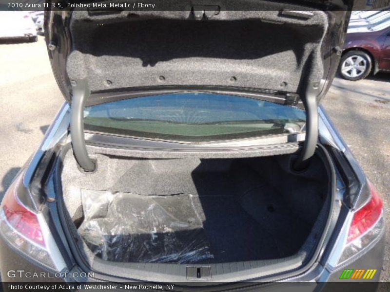 Polished Metal Metallic / Ebony 2010 Acura TL 3.5