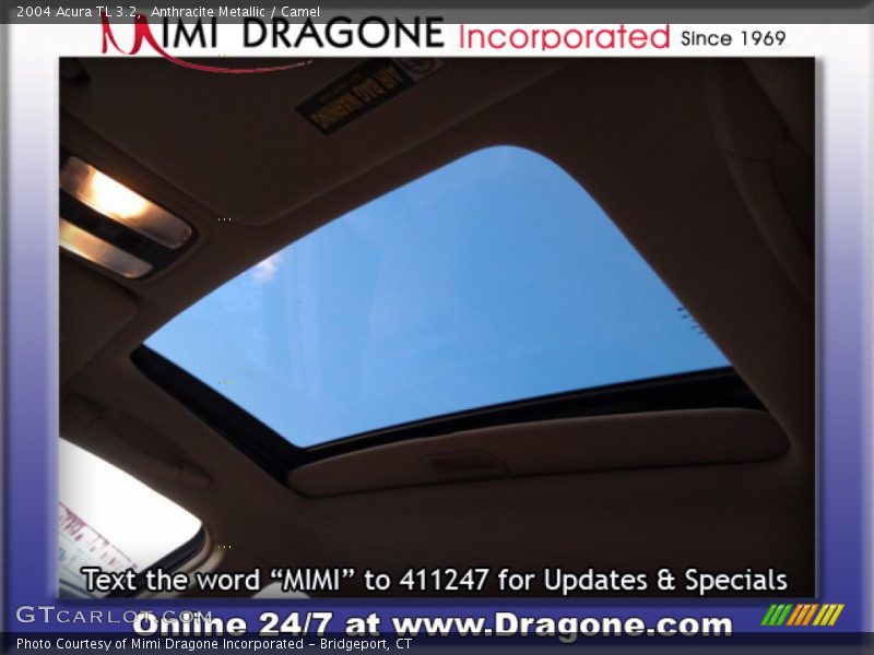 Anthracite Metallic / Camel 2004 Acura TL 3.2