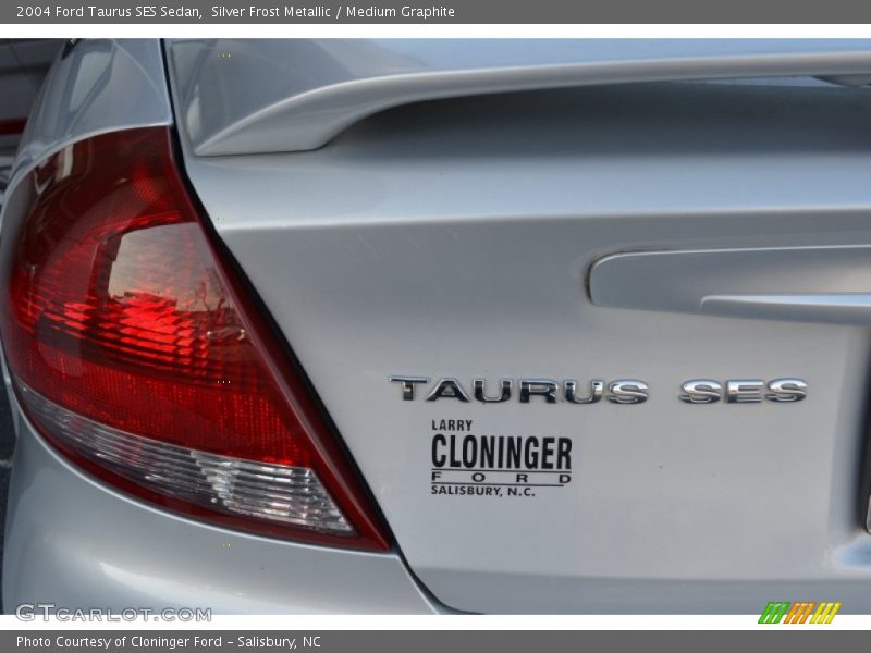 Silver Frost Metallic / Medium Graphite 2004 Ford Taurus SES Sedan