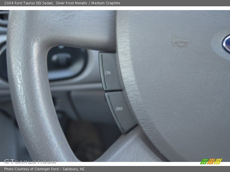 Silver Frost Metallic / Medium Graphite 2004 Ford Taurus SES Sedan