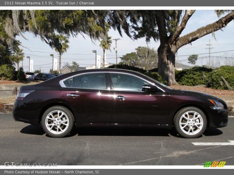  2013 Maxima 3.5 SV Tuscan Sun
