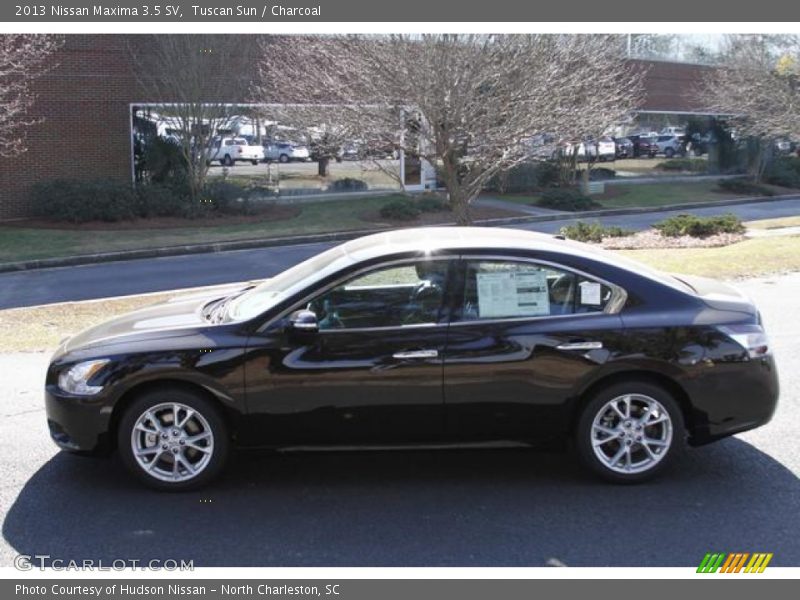 Tuscan Sun / Charcoal 2013 Nissan Maxima 3.5 SV