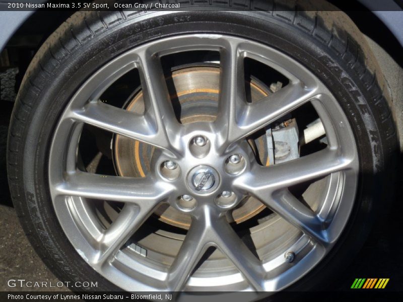 Ocean Gray / Charcoal 2010 Nissan Maxima 3.5 SV Sport