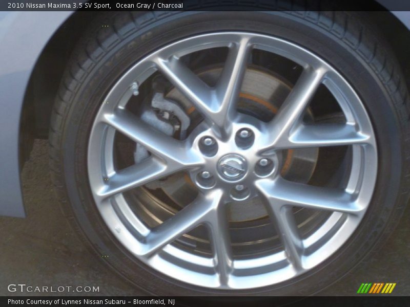 Ocean Gray / Charcoal 2010 Nissan Maxima 3.5 SV Sport