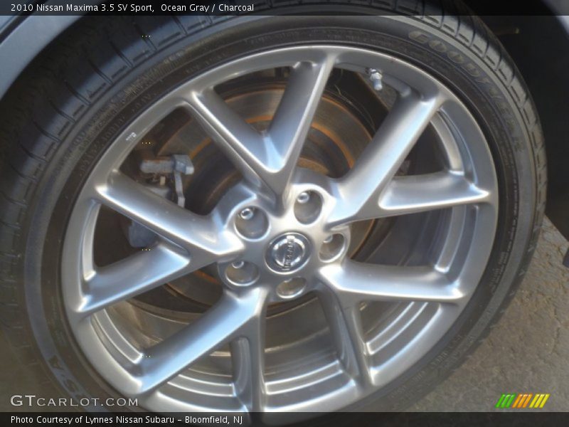 Ocean Gray / Charcoal 2010 Nissan Maxima 3.5 SV Sport