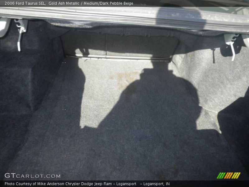 Gold Ash Metallic / Medium/Dark Pebble Beige 2006 Ford Taurus SEL