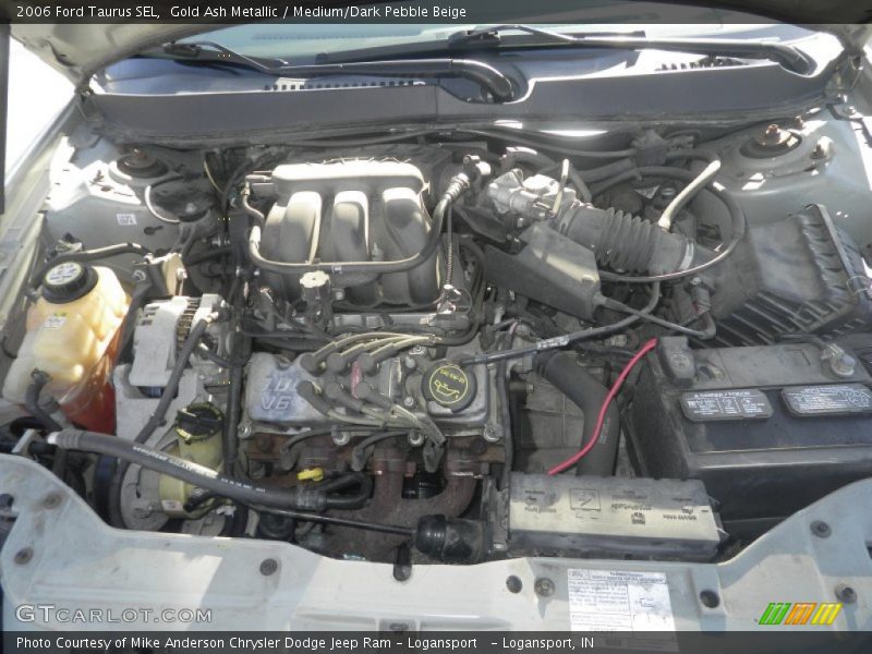 Gold Ash Metallic / Medium/Dark Pebble Beige 2006 Ford Taurus SEL