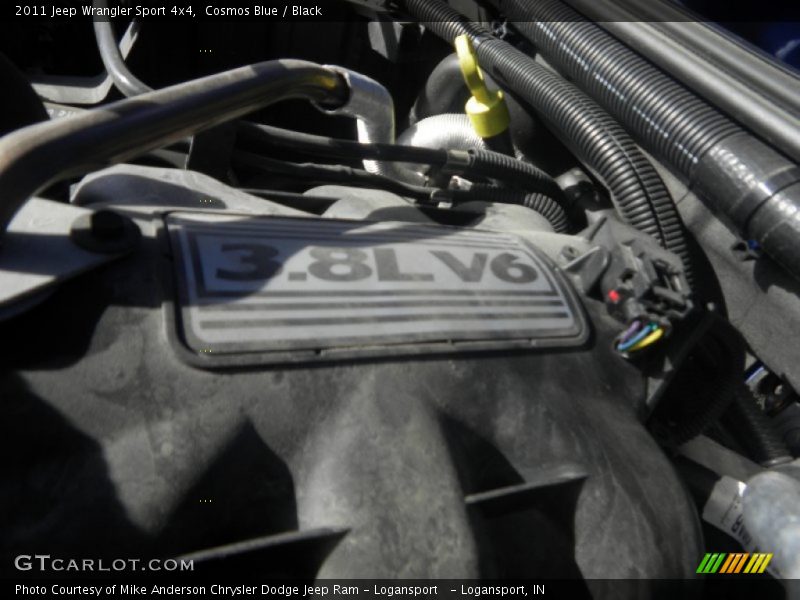 Cosmos Blue / Black 2011 Jeep Wrangler Sport 4x4