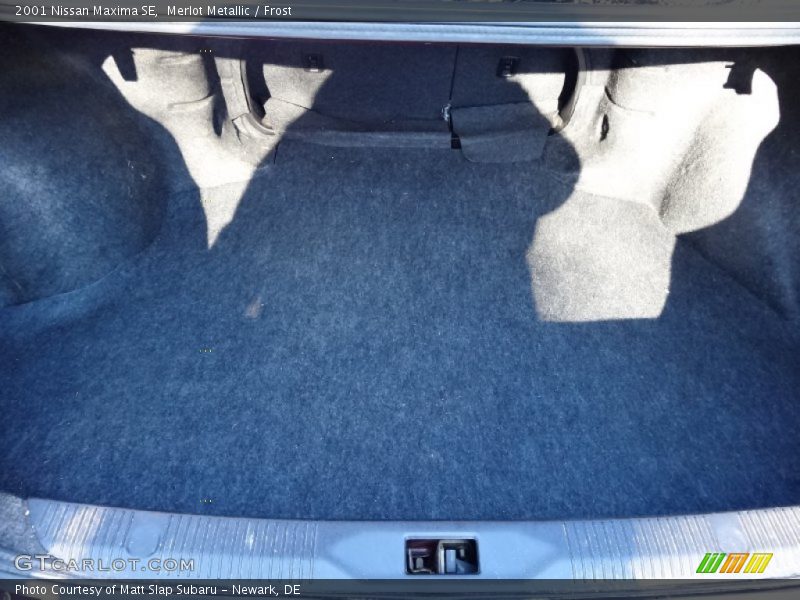  2001 Maxima SE Trunk