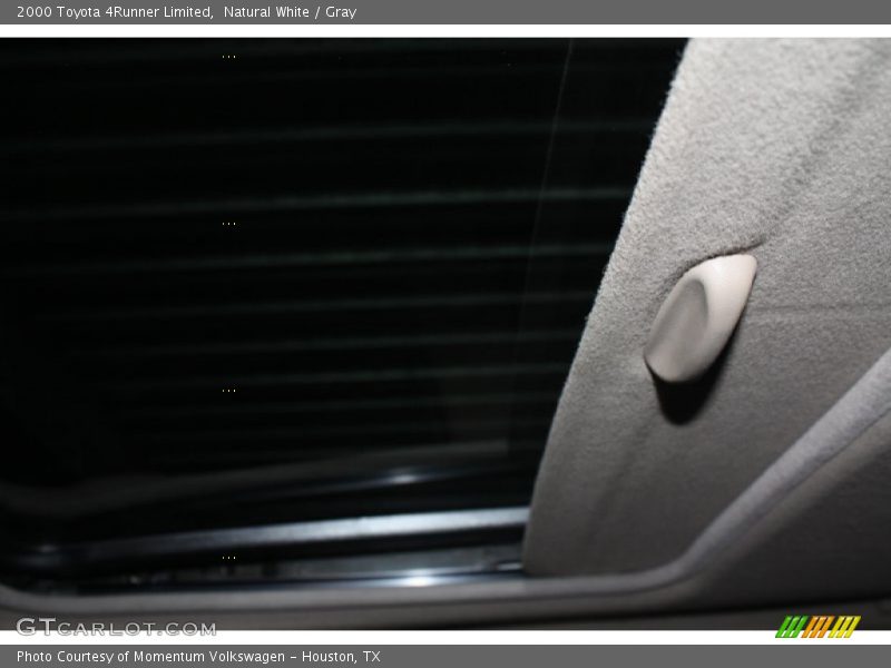 Natural White / Gray 2000 Toyota 4Runner Limited