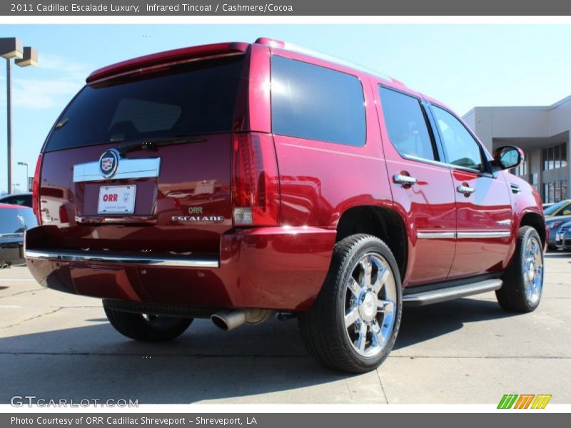 Infrared Tincoat / Cashmere/Cocoa 2011 Cadillac Escalade Luxury