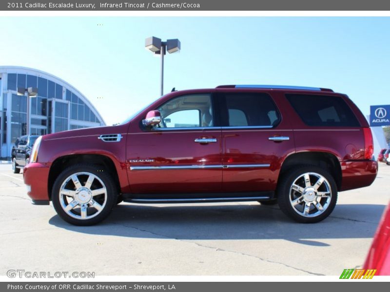 Infrared Tincoat / Cashmere/Cocoa 2011 Cadillac Escalade Luxury