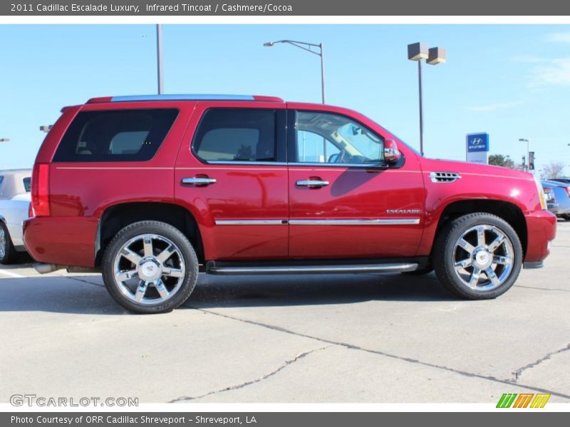Infrared Tincoat / Cashmere/Cocoa 2011 Cadillac Escalade Luxury