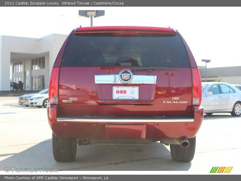 Infrared Tincoat / Cashmere/Cocoa 2011 Cadillac Escalade Luxury