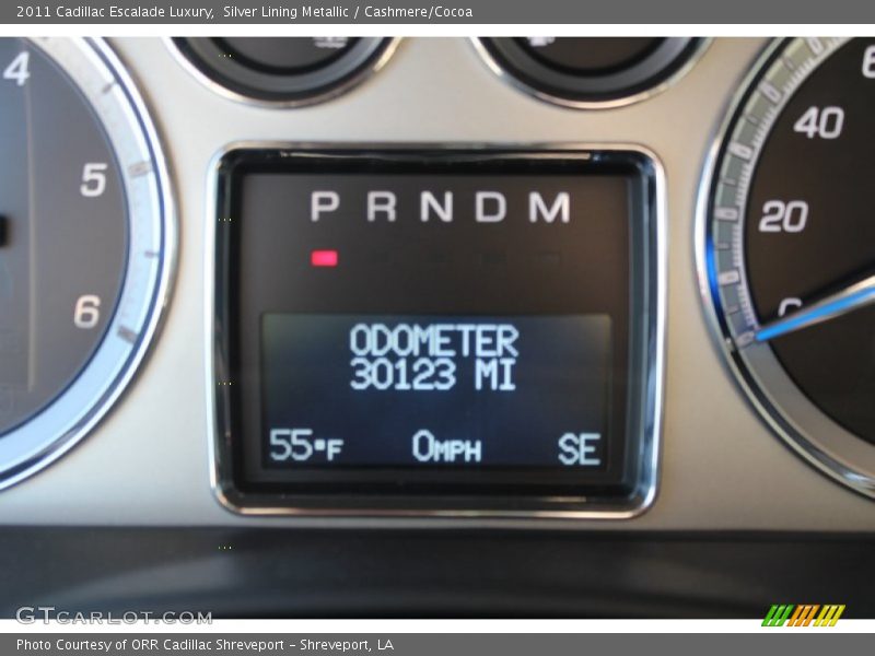 Silver Lining Metallic / Cashmere/Cocoa 2011 Cadillac Escalade Luxury