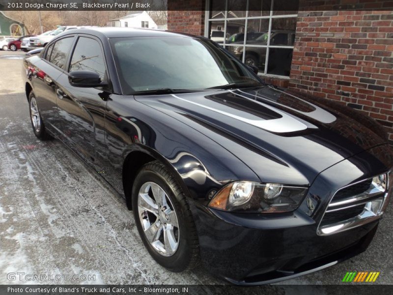 Blackberry Pearl / Black 2012 Dodge Charger SE