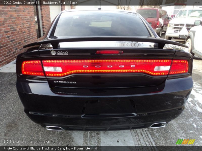 Blackberry Pearl / Black 2012 Dodge Charger SE