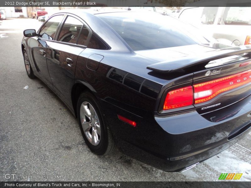 Blackberry Pearl / Black 2012 Dodge Charger SE