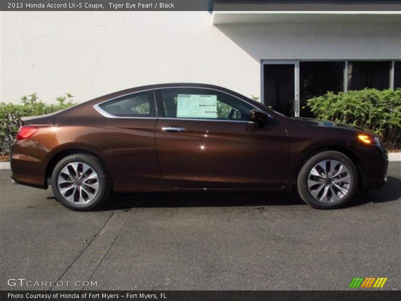  2013 Accord LX-S Coupe Tiger Eye Pearl