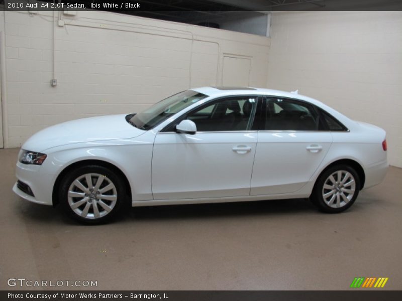 Ibis White / Black 2010 Audi A4 2.0T Sedan