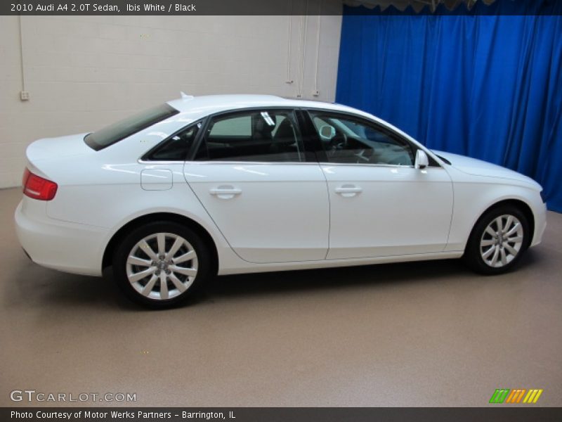 Ibis White / Black 2010 Audi A4 2.0T Sedan