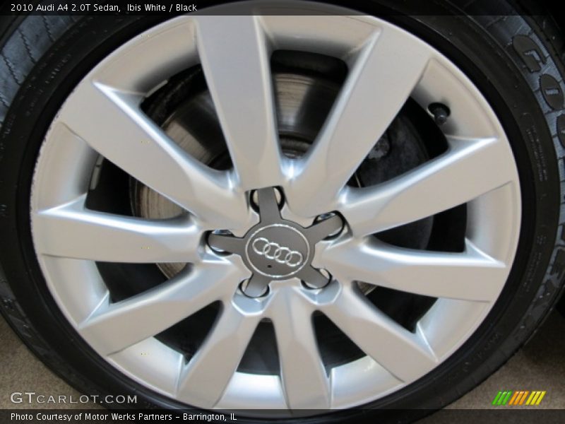 Ibis White / Black 2010 Audi A4 2.0T Sedan