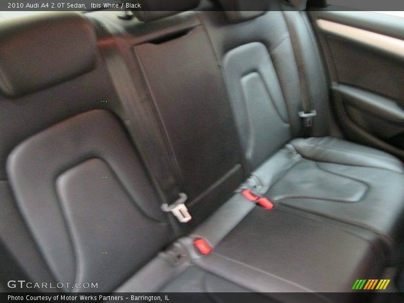 Ibis White / Black 2010 Audi A4 2.0T Sedan