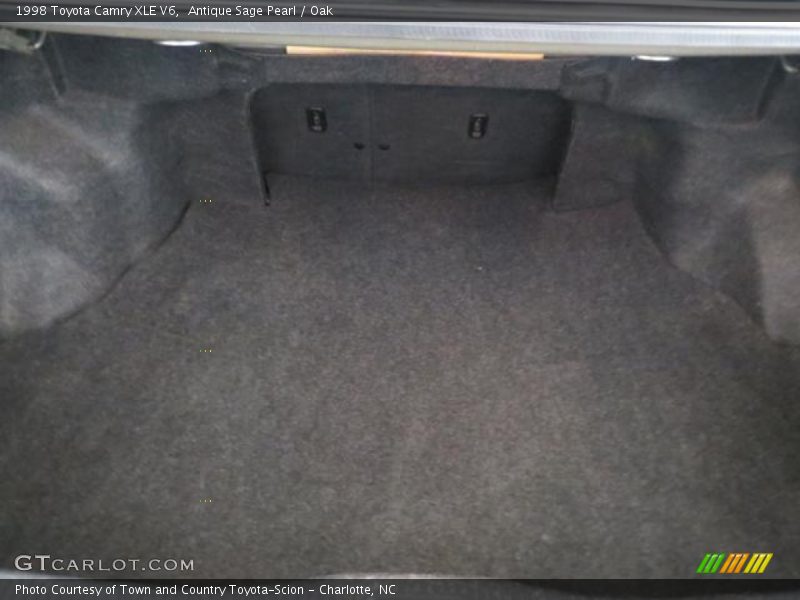 Antique Sage Pearl / Oak 1998 Toyota Camry XLE V6