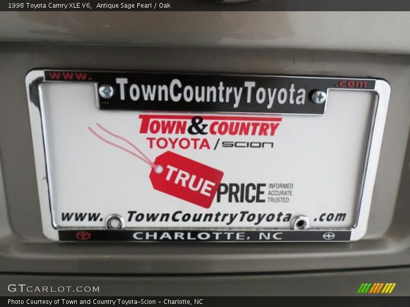 Antique Sage Pearl / Oak 1998 Toyota Camry XLE V6