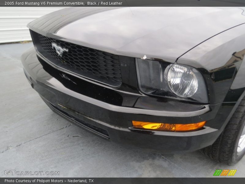 Black / Red Leather 2005 Ford Mustang V6 Premium Convertible