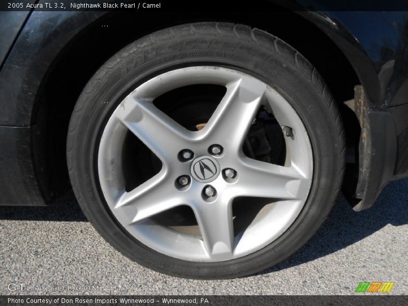 Nighthawk Black Pearl / Camel 2005 Acura TL 3.2