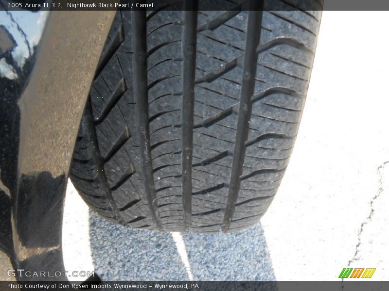 Nighthawk Black Pearl / Camel 2005 Acura TL 3.2