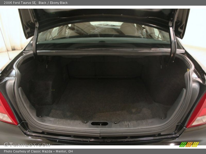 Black / Ebony Black 2006 Ford Taurus SE