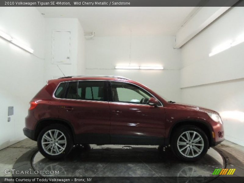 Wild Cherry Metallic / Sandstone 2010 Volkswagen Tiguan SE 4Motion