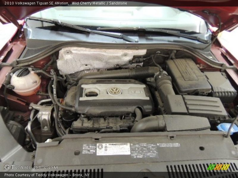 Wild Cherry Metallic / Sandstone 2010 Volkswagen Tiguan SE 4Motion