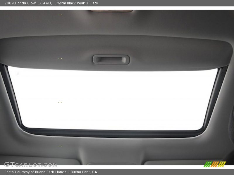 Crystal Black Pearl / Black 2009 Honda CR-V EX 4WD