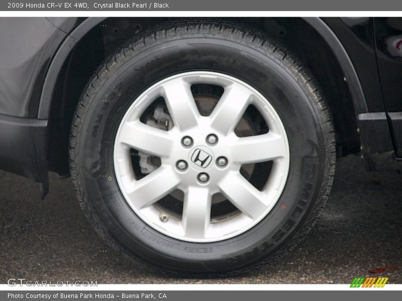 Crystal Black Pearl / Black 2009 Honda CR-V EX 4WD