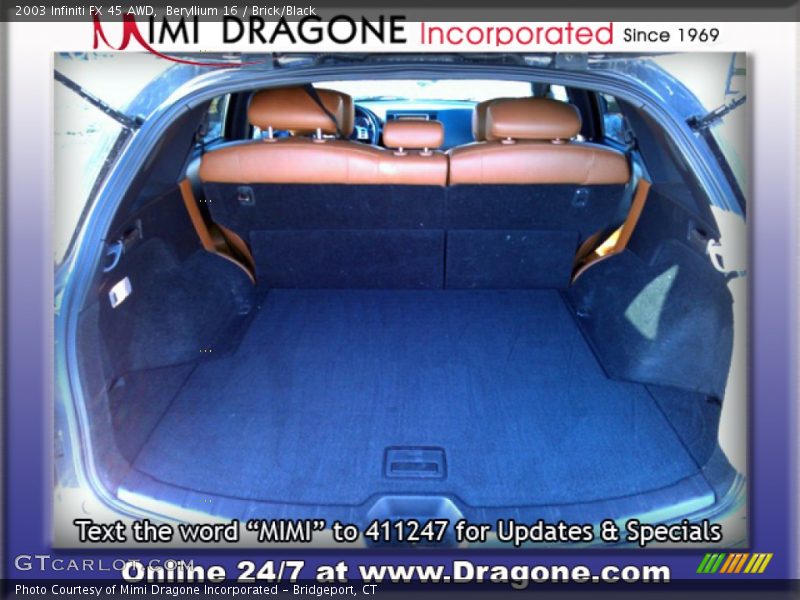 Beryllium 16 / Brick/Black 2003 Infiniti FX 45 AWD