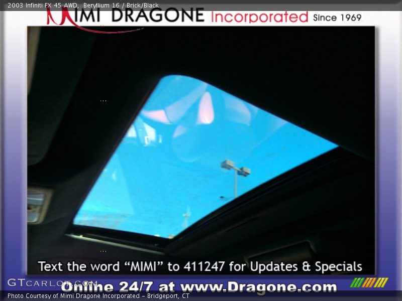 Beryllium 16 / Brick/Black 2003 Infiniti FX 45 AWD