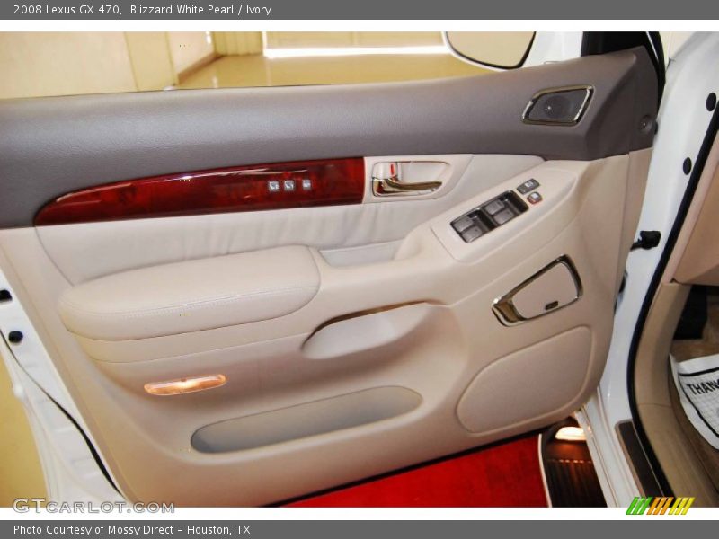 Door Panel of 2008 GX 470
