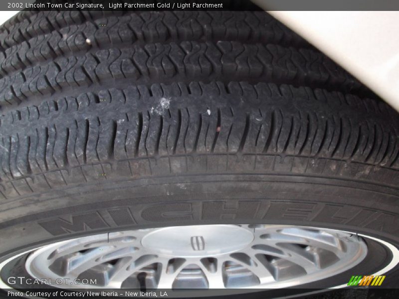 Light Parchment Gold / Light Parchment 2002 Lincoln Town Car Signature