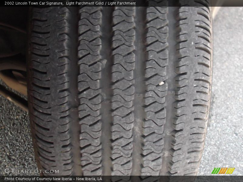 Light Parchment Gold / Light Parchment 2002 Lincoln Town Car Signature