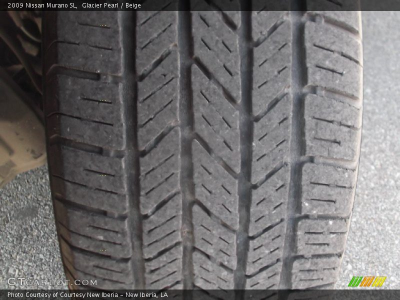 Glacier Pearl / Beige 2009 Nissan Murano SL