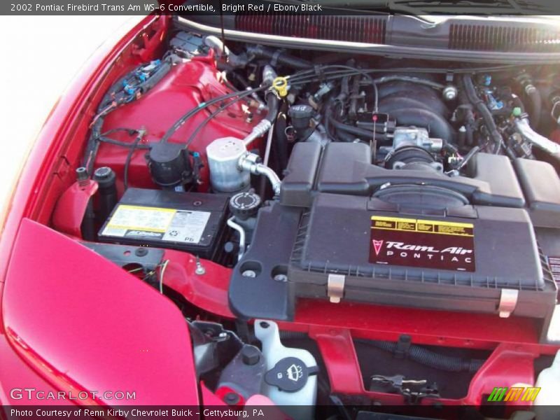 Bright Red / Ebony Black 2002 Pontiac Firebird Trans Am WS-6 Convertible